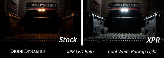 921 XPR Cool White LED Bulbs - RA Motorsports Canada